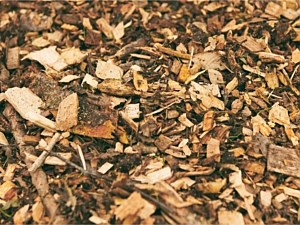 Chip Mulch